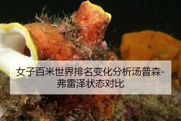 女子百米世界排名变化分析汤普森-弗雷泽状态对比